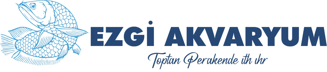 Ezgi Akvaryum